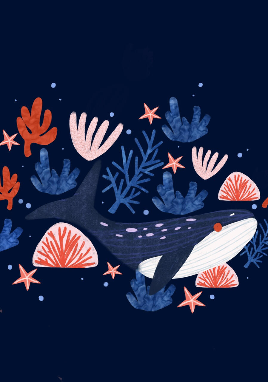 Under the Sea